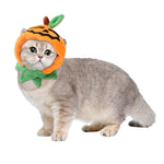 Cute Variety Of Hats For Your Cat Or Dog!