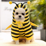 Cute As A Bee Dog or Cat Costume
