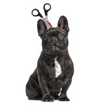 Gore Costume Hats For Your Cat Or Dog For Halloween