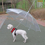 Pet Umbrella Leash!