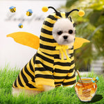 Cute As A Bee Dog or Cat Costume