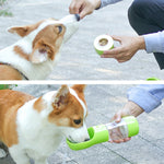 Portable Pet Water Bottle With Treat Container