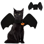 Batty Wings