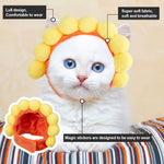 Cute Variety Of Hats For Your Cat Or Dog!