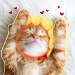 Cute Variety Of Hats For Your Cat Or Dog!