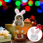 Cute Variety Of Hats For Your Cat Or Dog!