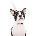 Gore Costume Hats For Your Cat Or Dog For Halloween