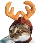 Cute Variety Of Hats For Your Cat Or Dog!