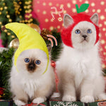 Cute Variety Of Hats For Your Cat Or Dog!