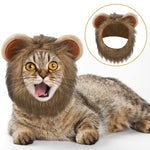 Cute Variety Of Hats For Your Cat Or Dog!